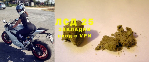 ГАЛЛЮЦИНОГЕННЫЕ ГРИБЫ Балахна